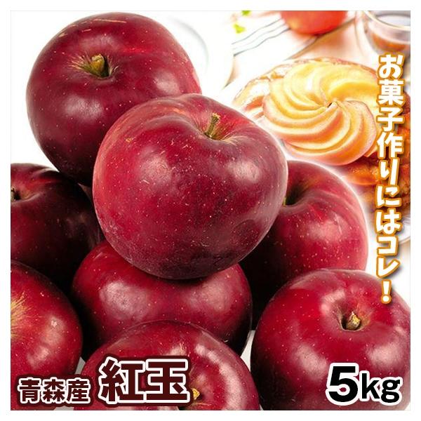 りんご 5kg 青森産 大特価 紅玉 （28～30玉） こうぎょく お菓子 スイーツ 送料無料 林檎 フルーツ 食品 国華園