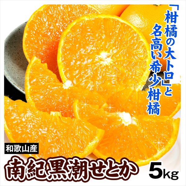 みかん 5kg 和歌山産 南紀黒潮 せとか 柑橘 ご家庭用 送料無料 食品