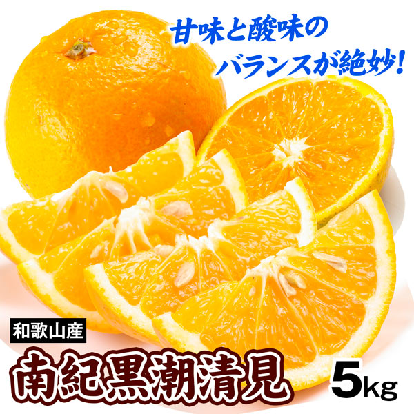 みかん 5kg 和歌山産 南紀黒潮 清見オレンジ 柑橘 ご家庭用 送料無料 食品