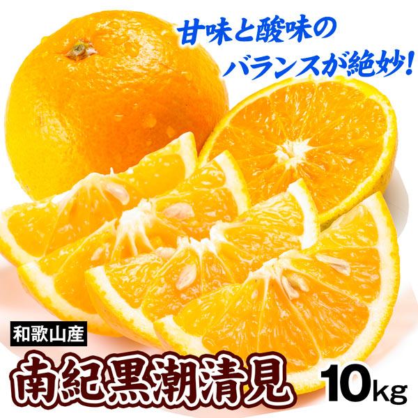 みかん 10kg 和歌山産 南紀黒潮 清見オレンジ 柑橘 ご家庭用 送料無料 食品