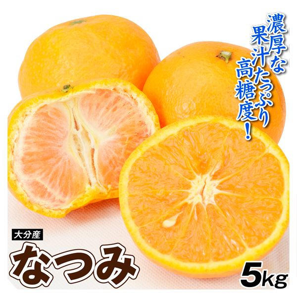 みかん 5kg なつみ 大分産 ご家庭用 柑橘 かんきつ フルーツ 送料無料 食品 国華園