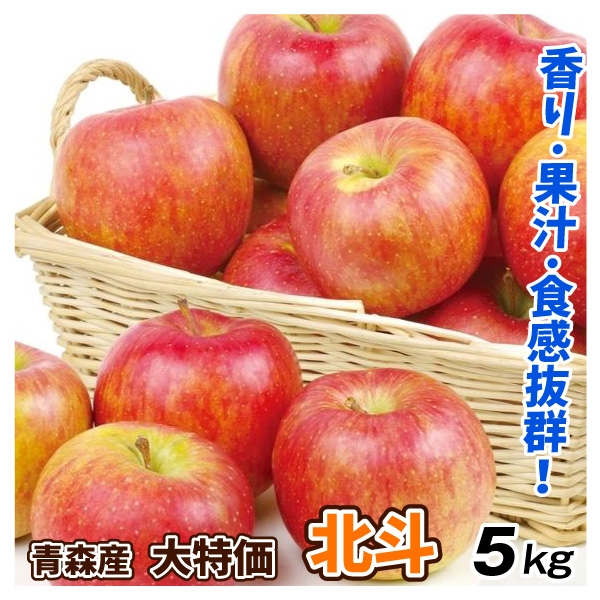 りんご 5kg 青森産 大特価 北斗 （11～23玉） 1箱 ご家庭用 ほくと 希少品種 送料無料 林檎 フルーツ食品 国華園