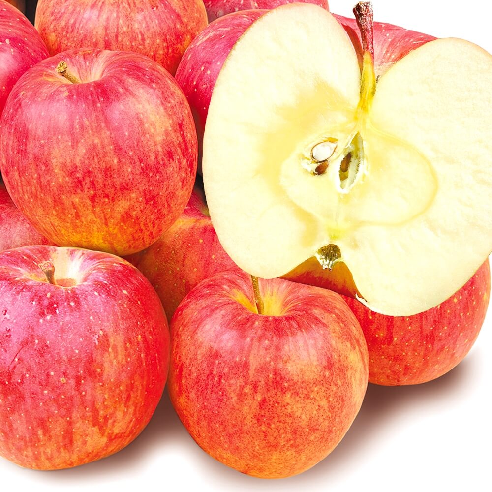りんご 10kg サンふじ ご家庭用 青森産 送料無料 食品