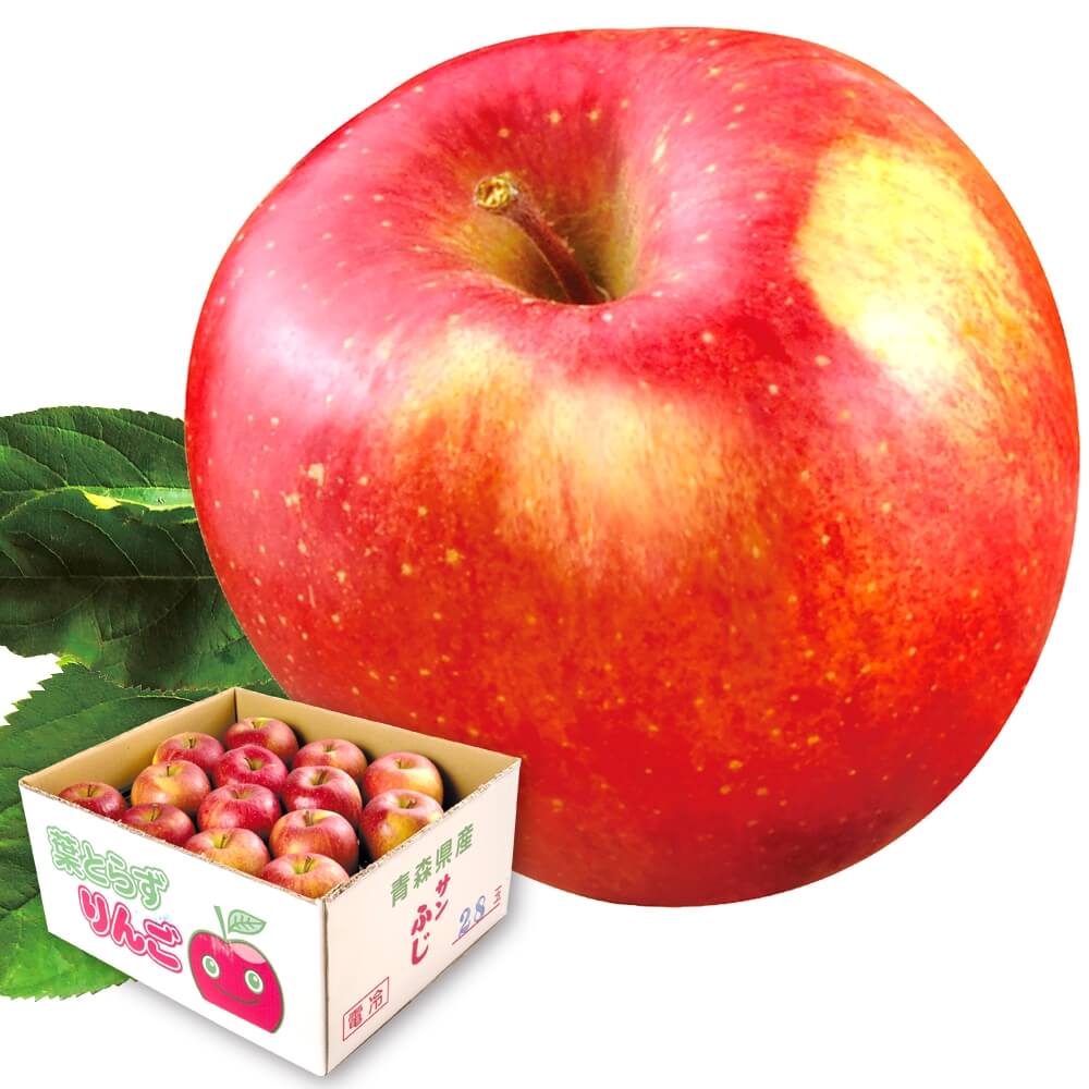 りんご 20kg 葉とらずふじ ご家庭用 木箱 青森産 送料無料 食品