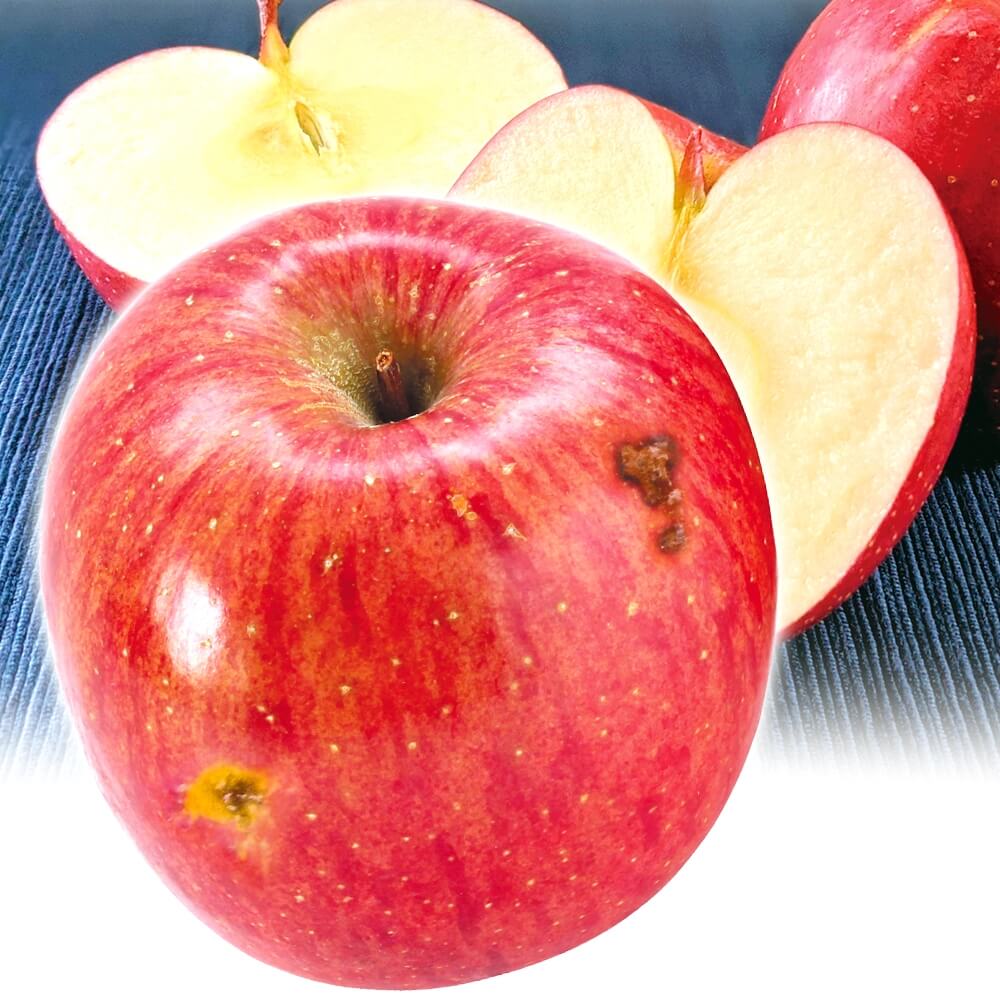 りんご 20kg 傷あり美味しいサンふじ 木箱 青森産 送料無料 食品