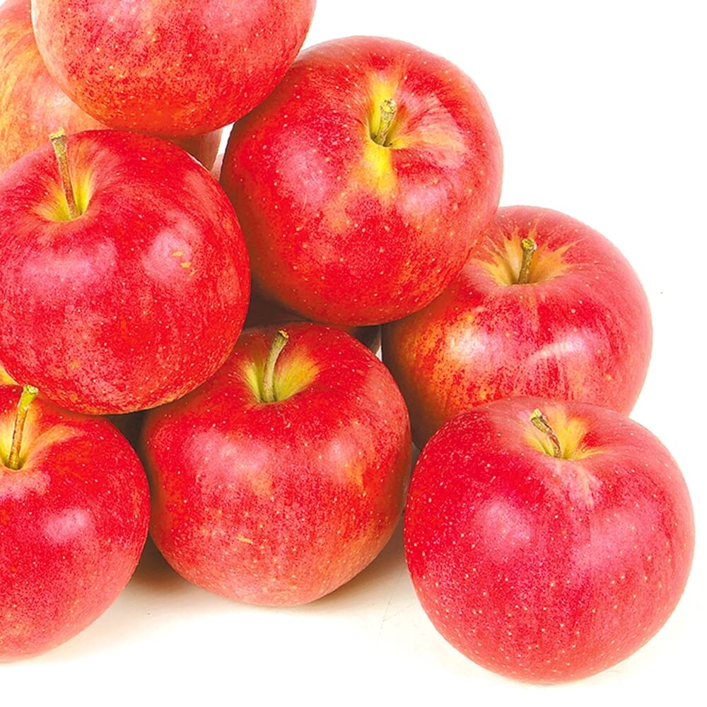 りんご 10ｋg サンジョナゴールド 青森産 ご家庭用 送料無料 食品