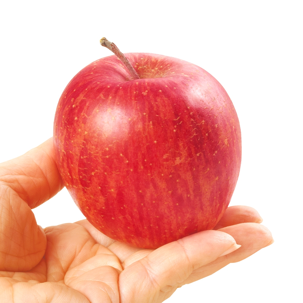りんご 10kg ちびふじ 青森産 ご家庭用 送料無料 食品