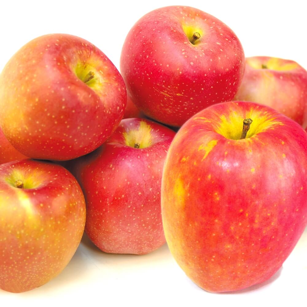りんご 10kg 青森産 印度 ご家庭用 送料無料 食品