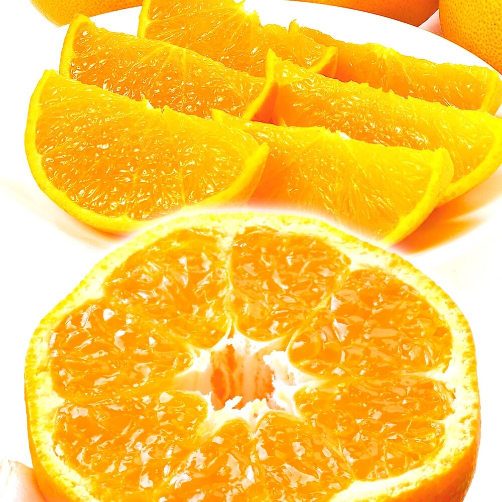 みかん 10kg せとか＆はるみセット (各5kg) 柑橘セット 送料無料 食品