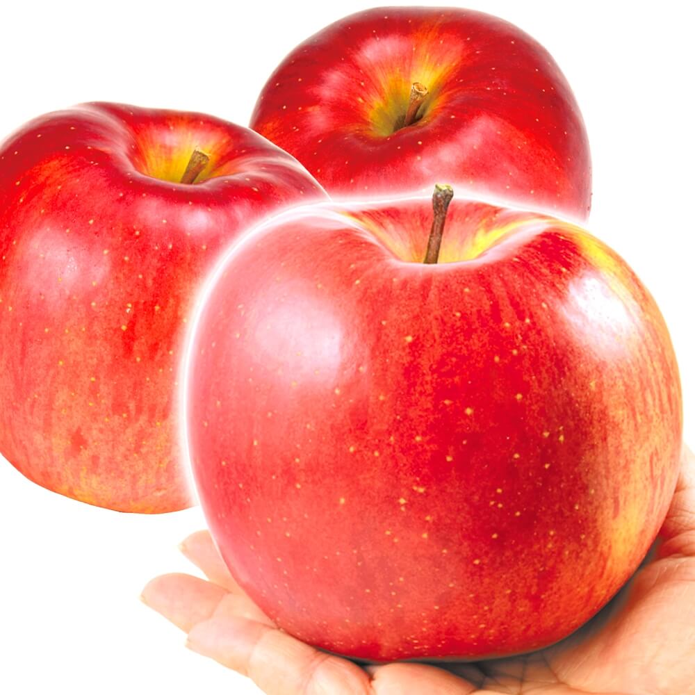 りんご 10kg 大玉サンふじ 青森産  送料無料 食品