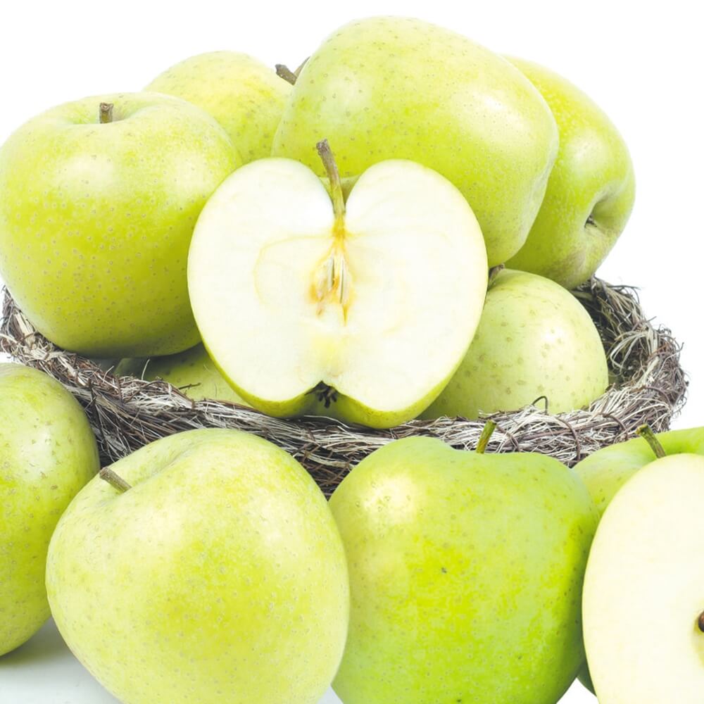 りんご 10kg 王林 青森産 大特価 送料無料 食品