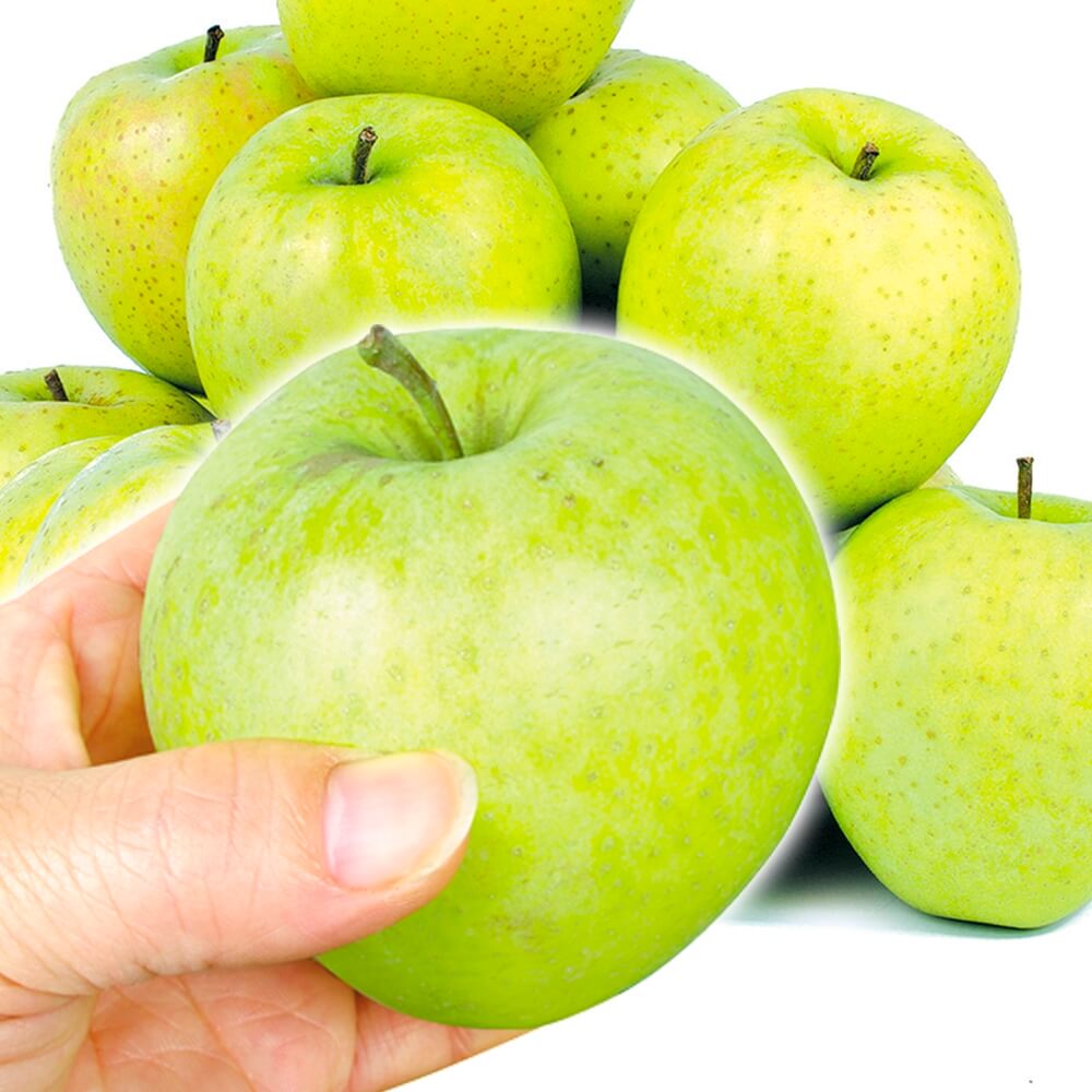 りんご 10kg ちび王林 青森産 送料無料 食品