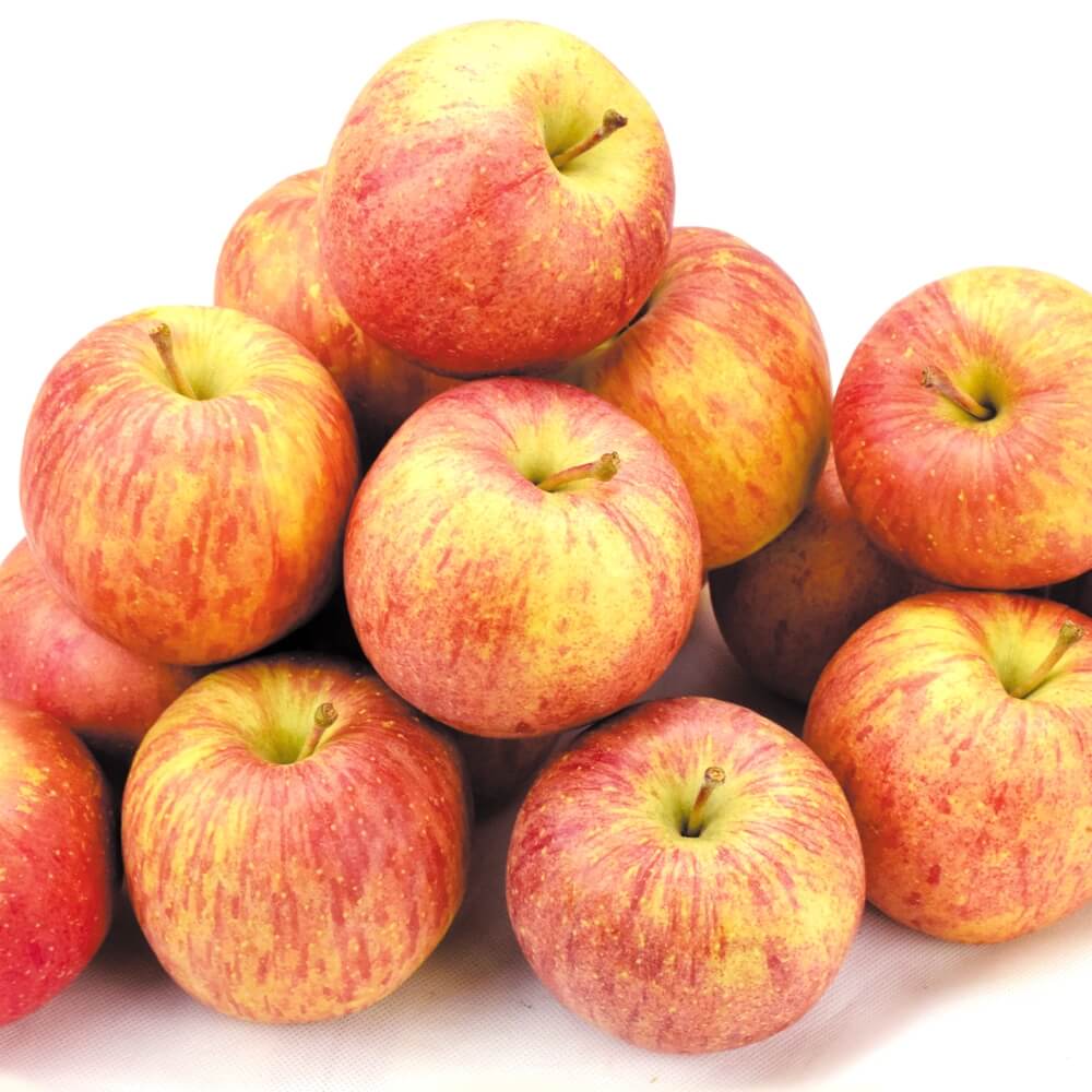 りんご 20kg ふじりんご 色むら 青森産 送料無料 食品
