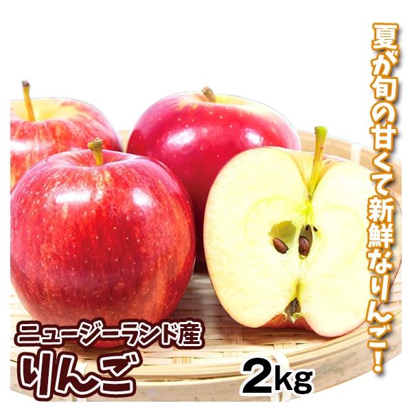 りんご 約2kg ニュージーランド産 プリンス ロイヤルガラ ダズル（約16玉）新物  林檎 フルーツ 国華園