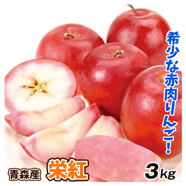 りんご 3kg 青森産 栄紅（えいこう）1箱 ご家庭用 赤肉りんご 希少品種 送料無料 林檎 フルーツ食品 国華園