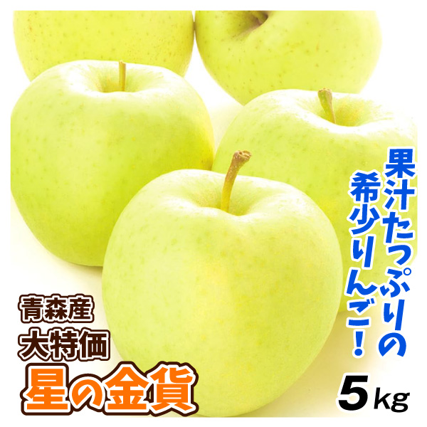 りんご 5kg 青森産 大特価 星の金貨 （12～28玉） ほしのきんか 希少品種 送料無料 林檎 フルーツ食品 国華園