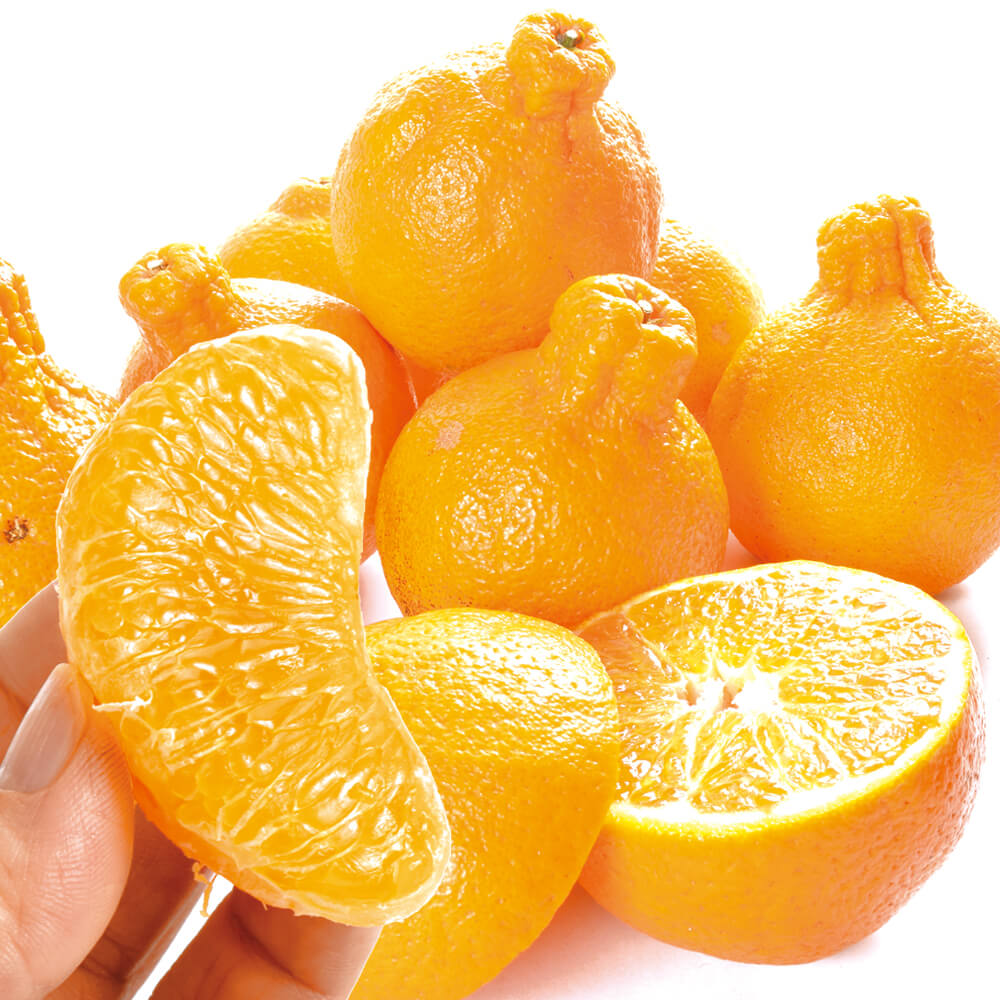 みかん 10kg 不知火オレンジ 九州産 デコポンと同じ品種 送料無料 食品