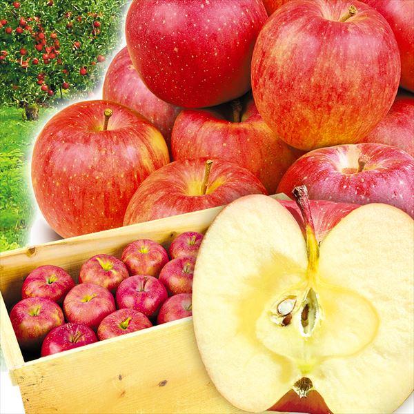 りんご 約20kg サンふじ 青森産 ご家庭用 木箱 送料無料 食品