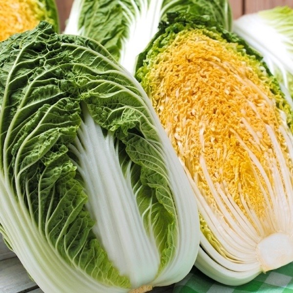 種 野菜たね 機能性野菜白菜 F1オレンジクイン 1袋（コート種子 150粒）