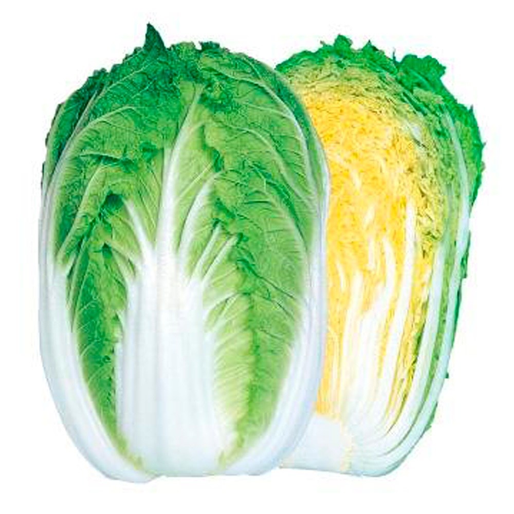 種 野菜たね 白菜 F1早生黄芯白菜 1袋（3ml）