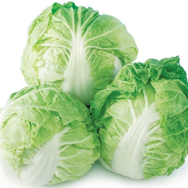 種 野菜たね 白菜 F1丸味ハクサイ 1袋（3ml）