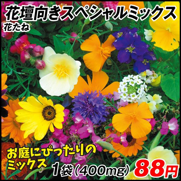 種 花たね スペシャルミックス 花壇向きミックス 1袋(400mg)
