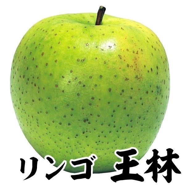 果樹苗 リンゴ 王林 1株