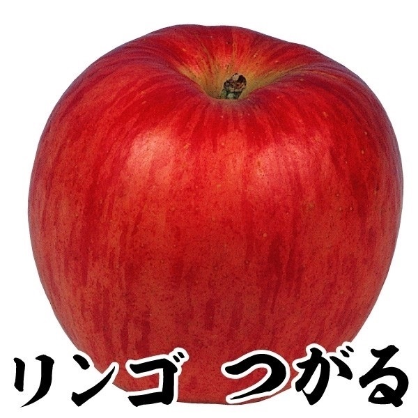 果樹苗 リンゴ つがる 1株
