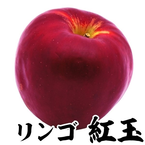 果樹苗 リンゴ 紅玉 1株