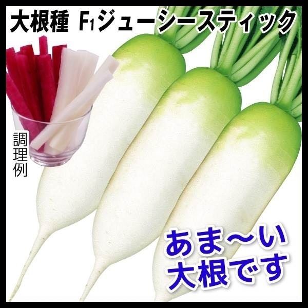 種 野菜たね ダイコン F1ジューシースティック 1袋(4ml)