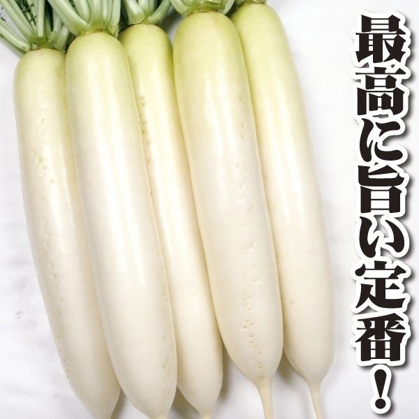 種 野菜たね ダイコン F1YRくらま 1袋(4.5ml)