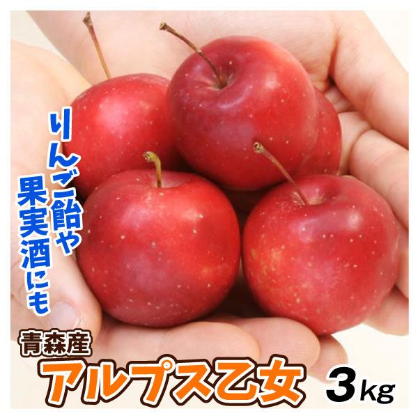 りんご 3kg 青森産 アルプス乙女 ご家庭用 送料無料 林檎 フルーツ食品 国華園