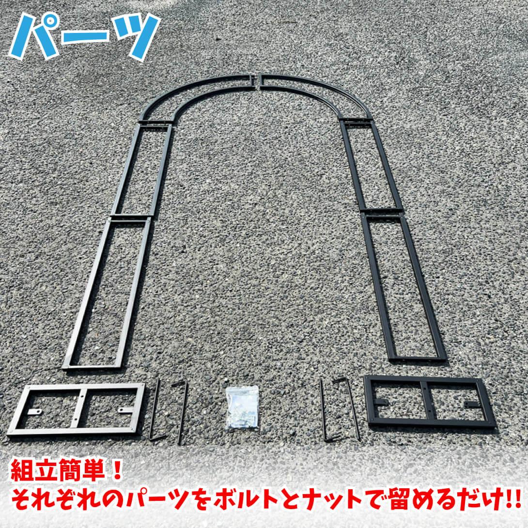 ミント