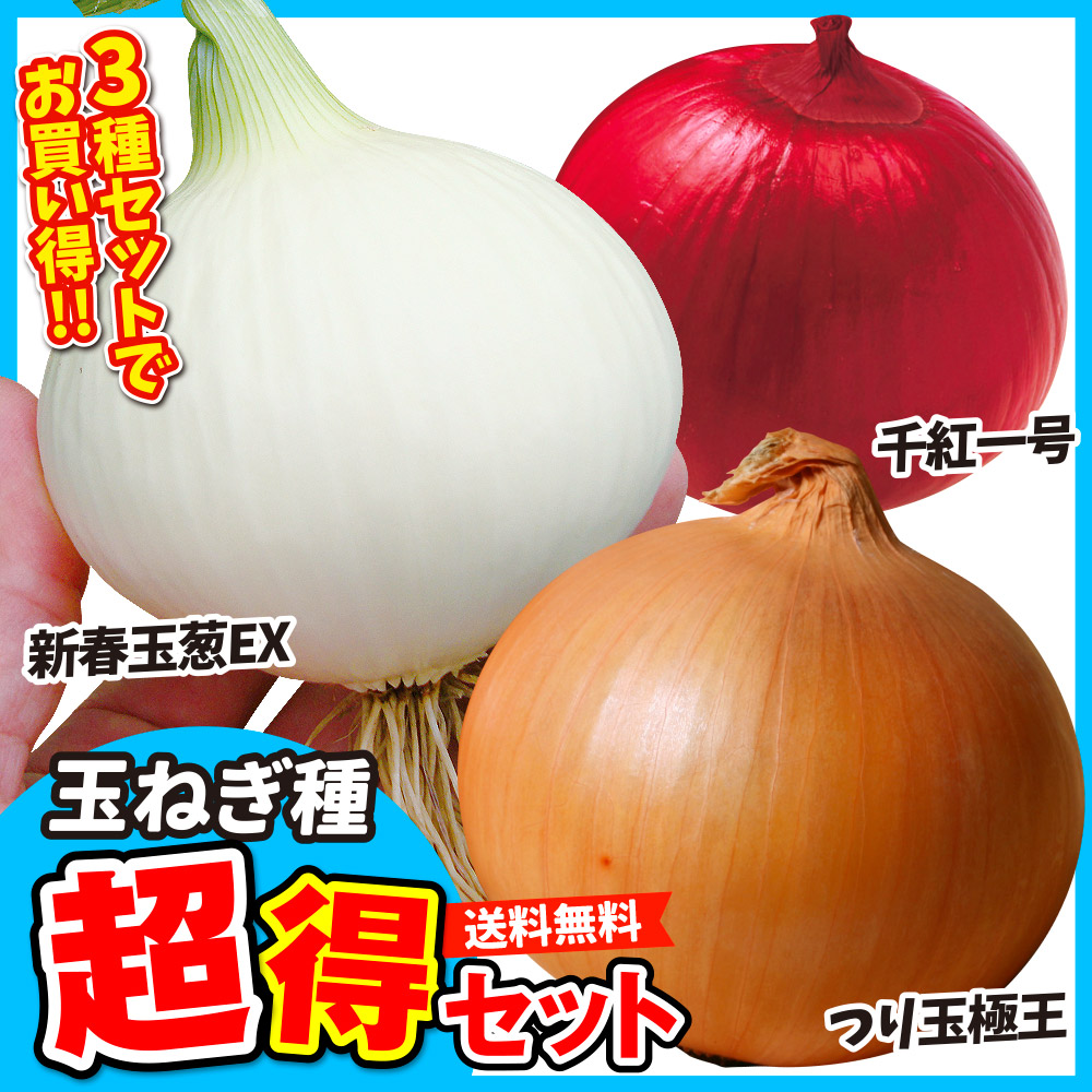 （送料無料）玉ねぎ種 超得3種セット 3種1組（各1袋）限定販売