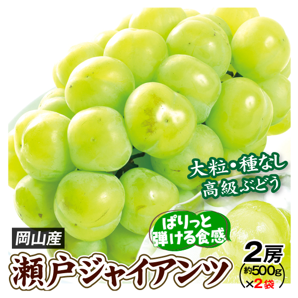 瀬戸