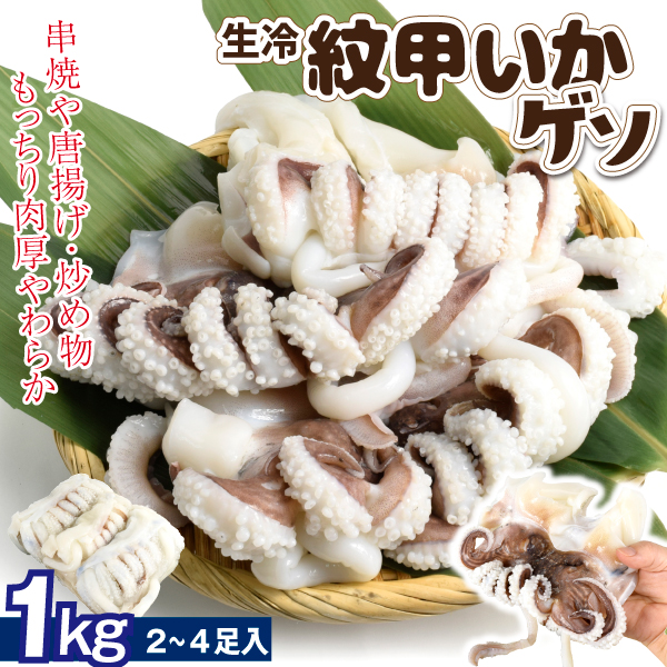 いか 1kg 生冷 紋甲いか ゲソ 2～4足 コウイカ イカ下足 烏賊 BBQ 加熱用  食品 冷凍便