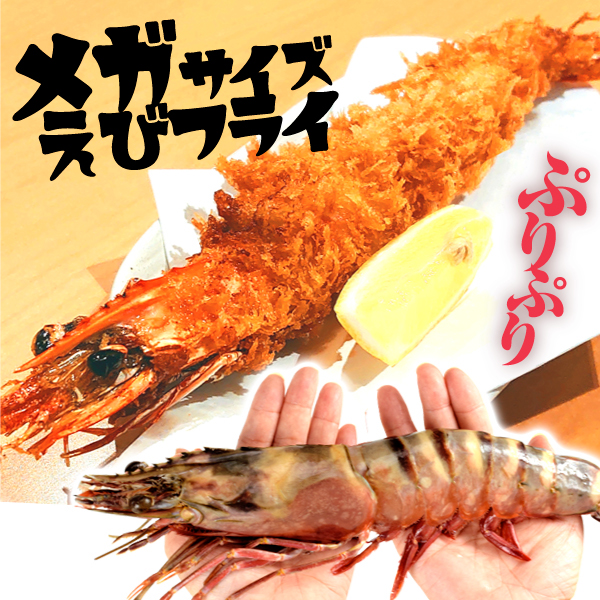 国華園オンラインショップ / えび 皇帝の海老 1尾 シータイガー 天然