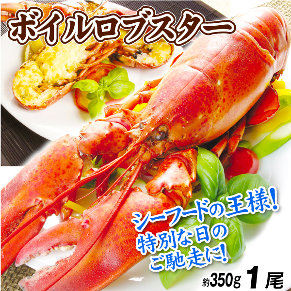 ボイルロブスター 1尾 350g前後 姿ゆで 北米産 オマール海老 冷凍便 食品