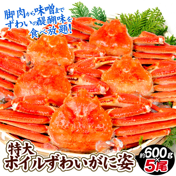 かに 3kg 特大 ボイルずわいがに 姿  5尾 メガ盛 蟹 ゆでがに 送料無料 冷凍便