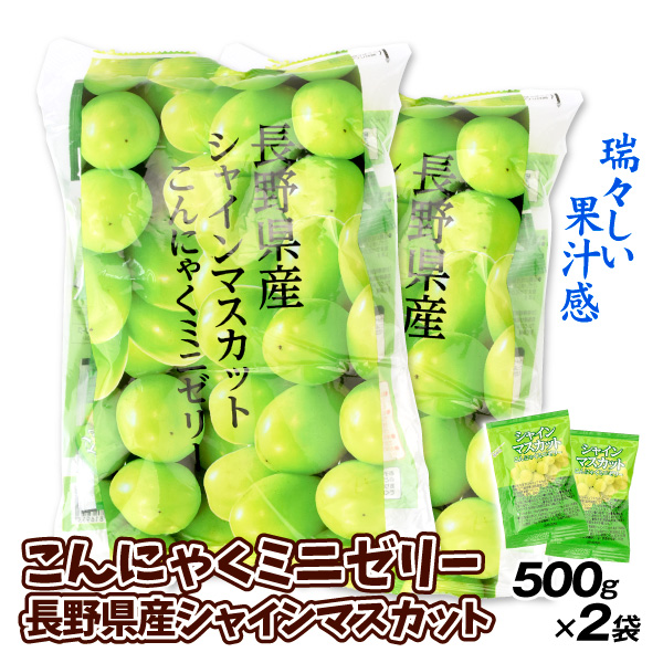 こんにゃくミニゼリー 長野産シャインマスカット 500g×2 ゼリー 蒟蒻 食品 送料無料