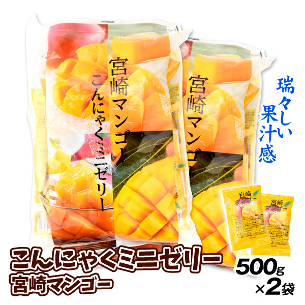 こんにゃくミニゼリー 宮崎マンゴー 500g×2 ゼリー 蒟蒻 食品 送料無料
