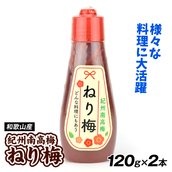 ねり梅 紀州南高梅 120g×2本 和歌山産 調味料 送料無料 ポスト投函 食品