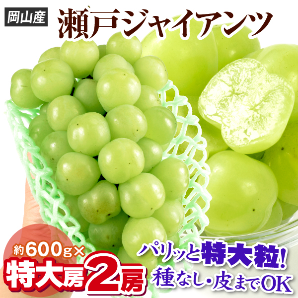 ぶどう 2房 瀬戸ジャイアンツ 岡山産 約600g×2房 大房 種なしブドウ 高糖度 皮ごと食べられる 送料無料 食品