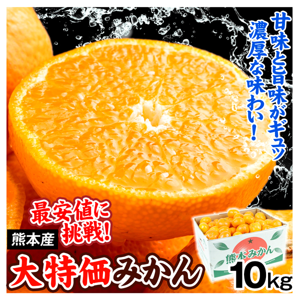 みかん 10kg 大特価 熊本産 蜜柑 温州 柑橘 果物 フルーツ 送料無料 食品