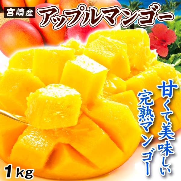 マンゴー １kg ふぞろいアップルマンゴー 宮崎産 ご家庭用 完熟 2～8玉 芒果 送料無料 食品