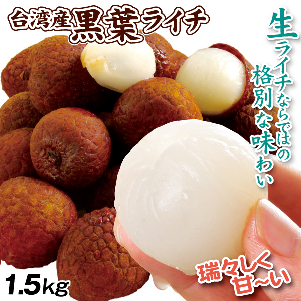 台湾産 生ライチ・黒葉 1.5kg 生果 フレッシュライチ こくよう 茘枝 トロピカルフルーツ 送料無料 冷蔵便 食品