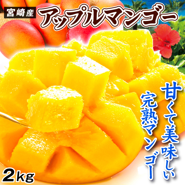 マンゴー ふぞろいアップルマンゴー 2kg 宮崎産 送料無料 食品