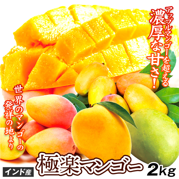 マンゴー 極楽マンゴー 約2kg インド産 品種おまかせ ご家庭用 6～12玉 ケサール チョウサ アルフォンソ 送料無料 食品
