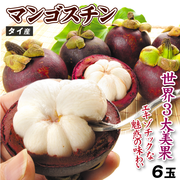 マンゴスチン 6玉 タイ産 ご家庭用 熱帯果実 莽吉柿 世界三大美果 トロピカルフルーツ 送料無料 食品