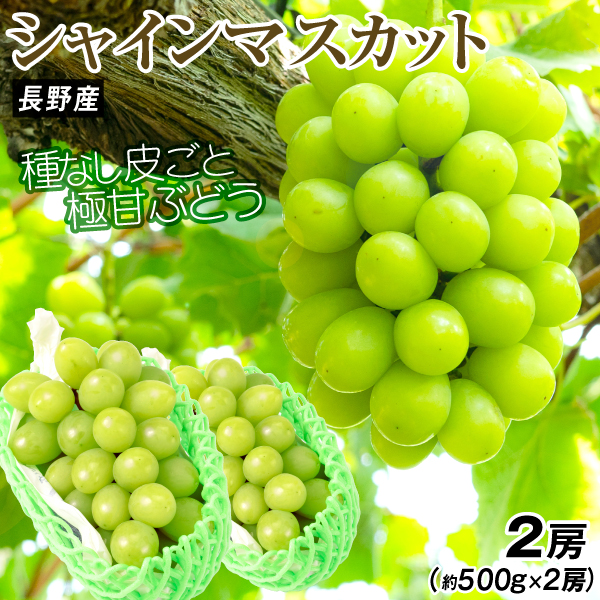 ぶどう 長野産 ご家庭用 シャインマスカット 約1kg 種なし 皮ごとOK 約500ｇ×2房送料無料 食品